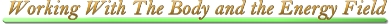 Working with the Body and the Energy Field